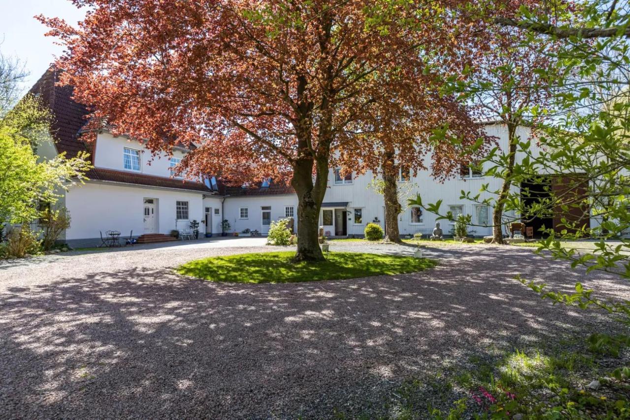 Denkerhof Suedsonne Apartment Reussenkoge
